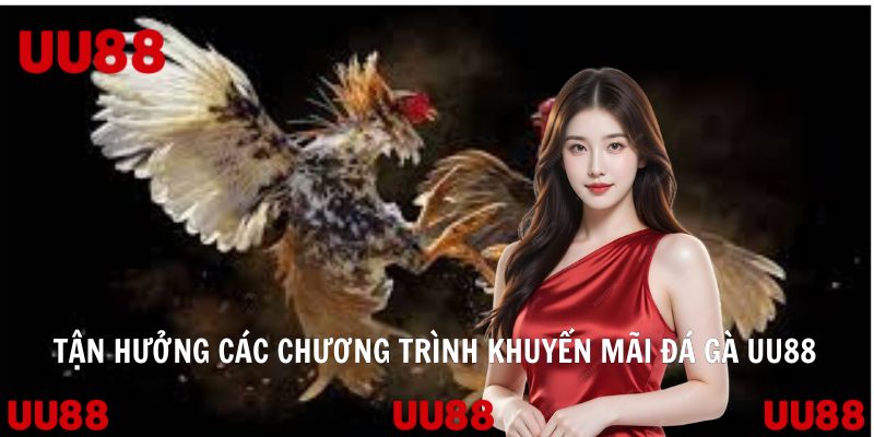 Tận hưởng hàng loạt các chương trình khuyến mãi đá gà UU88
